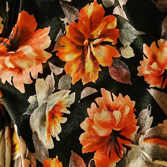 Torrid Sexy-Velvet Floral ZipUp Corset NWT $48 Size 2 - Picture 3 of 9